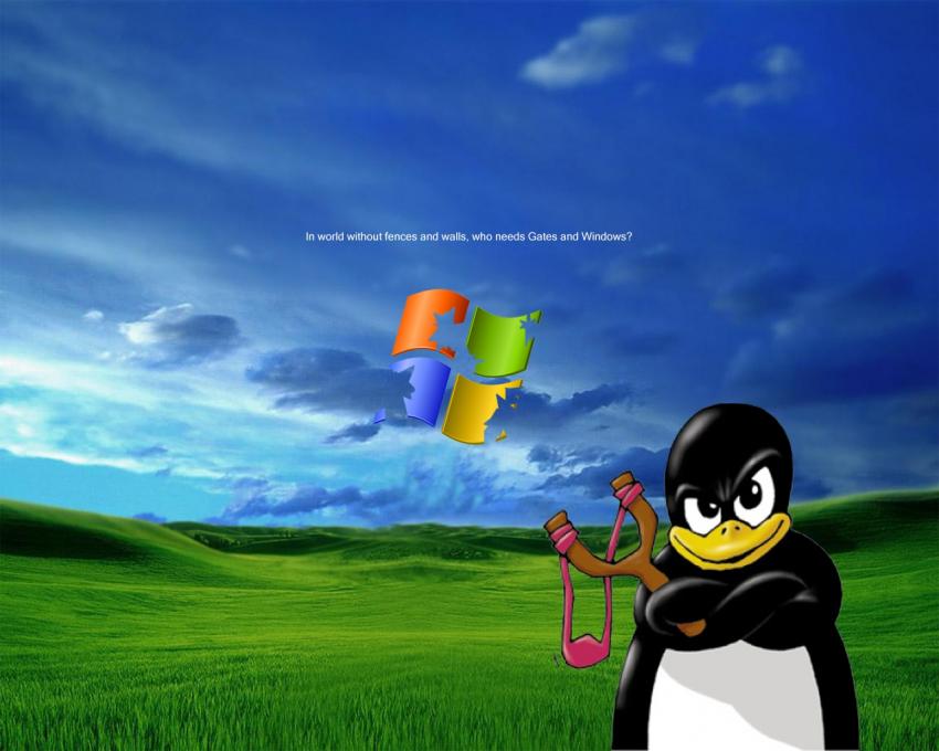 XP Vs Linux