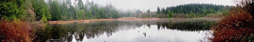 Beaver Lake Vancouver