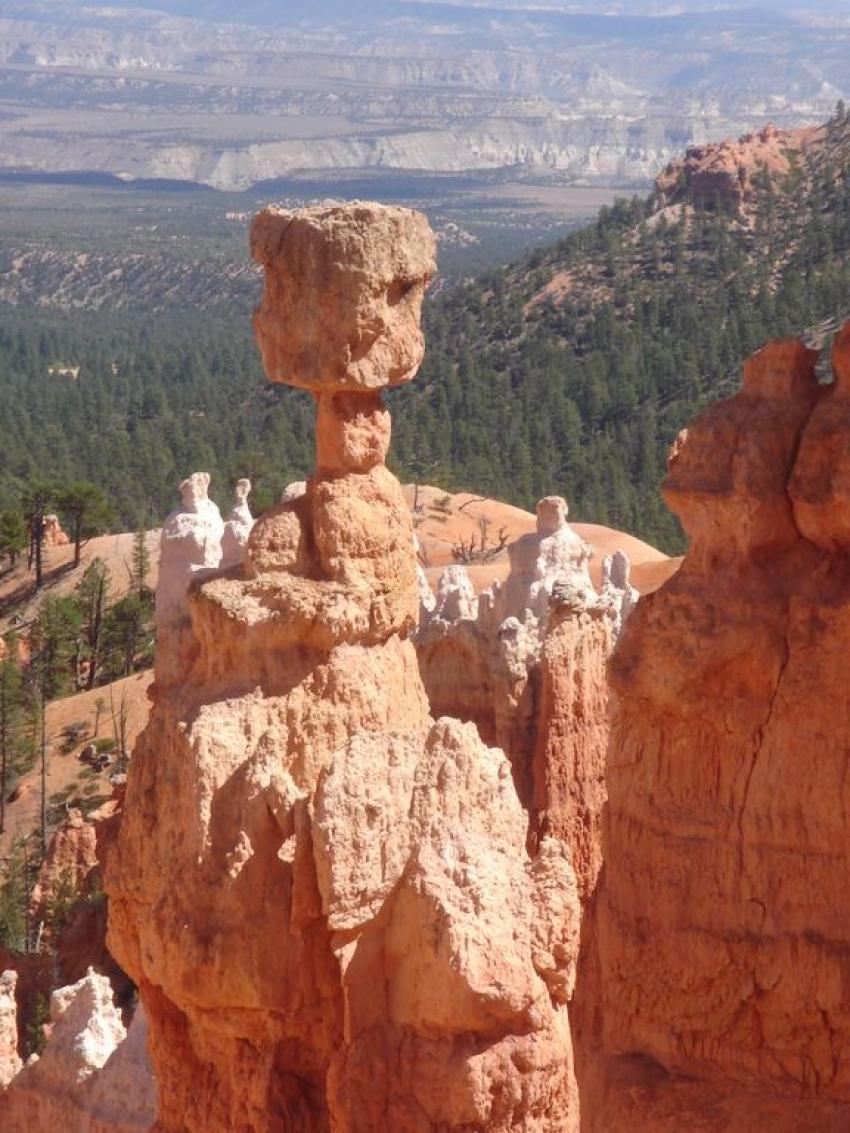 bryce canyon et grd canyon