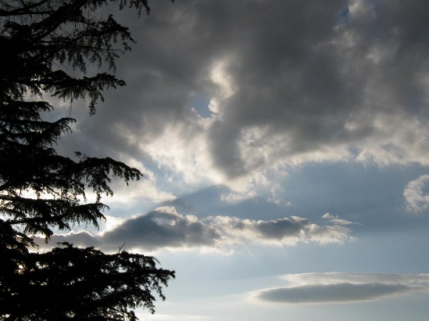 ciel nuageux avec morceau d'arbre