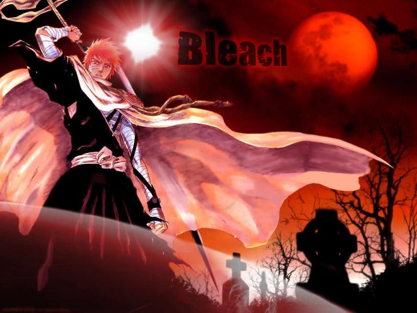 Bleach Red