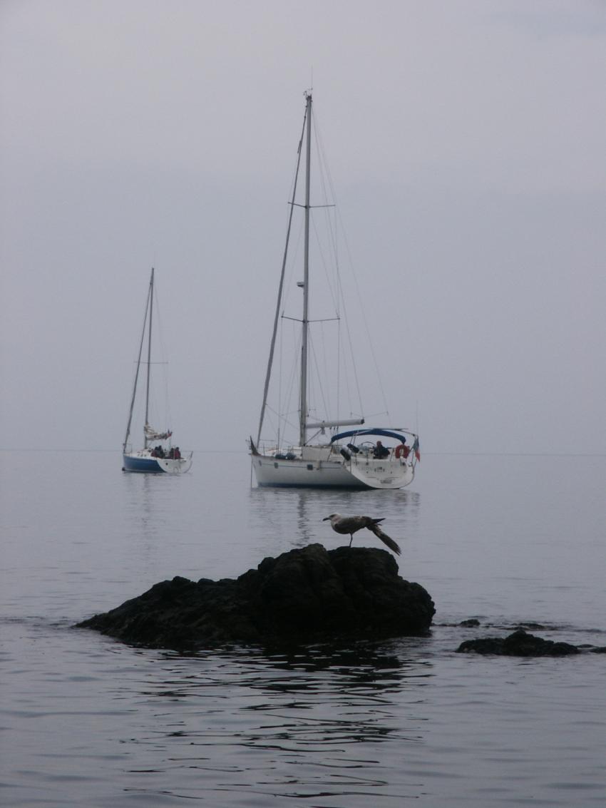 mouillage  collioure