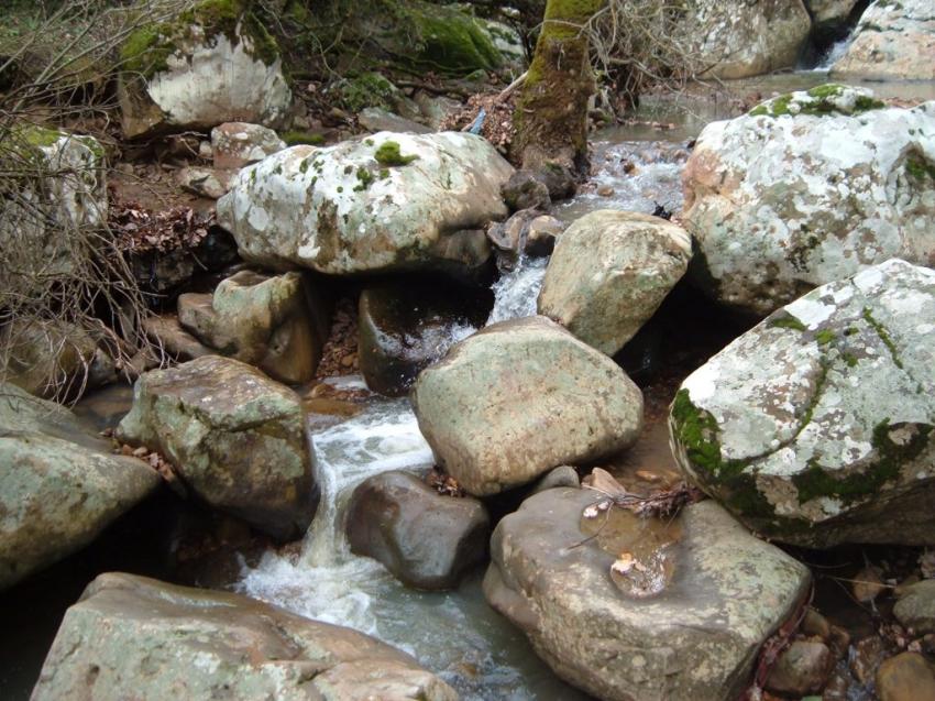 El Feija