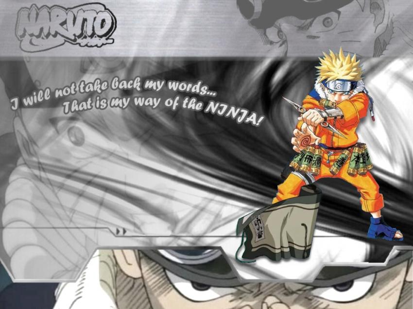ninja way