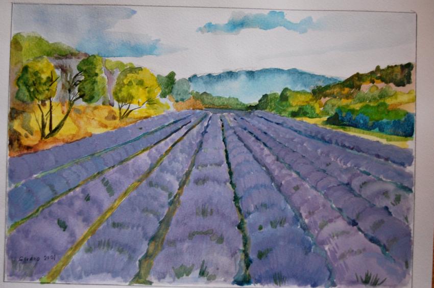 paysage de provence