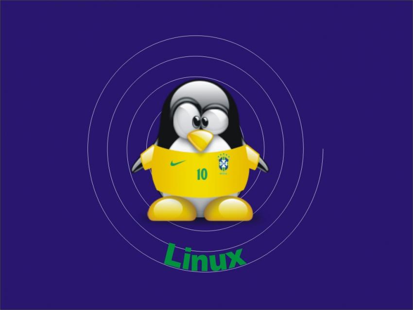 Pinguin Brazil Ronaldinho