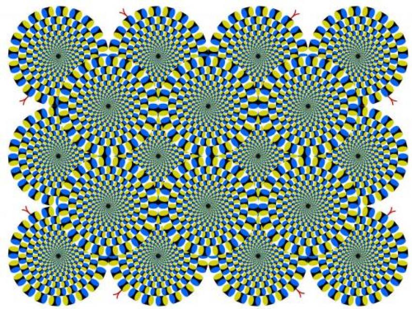 Quelle roue tourne