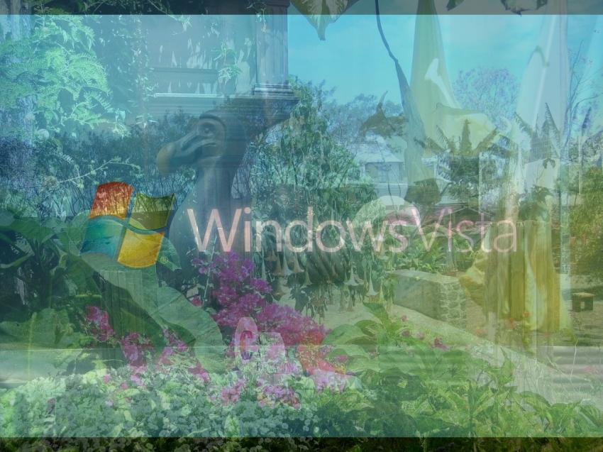 win_vista