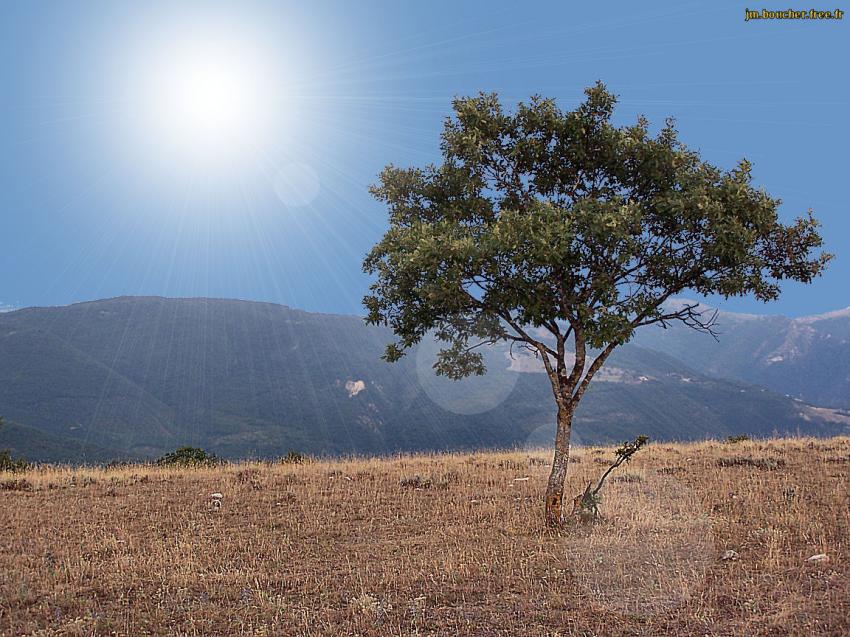 Le soleil en face