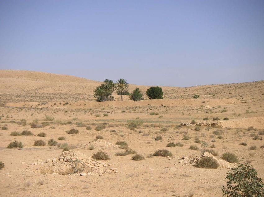 desert matmata