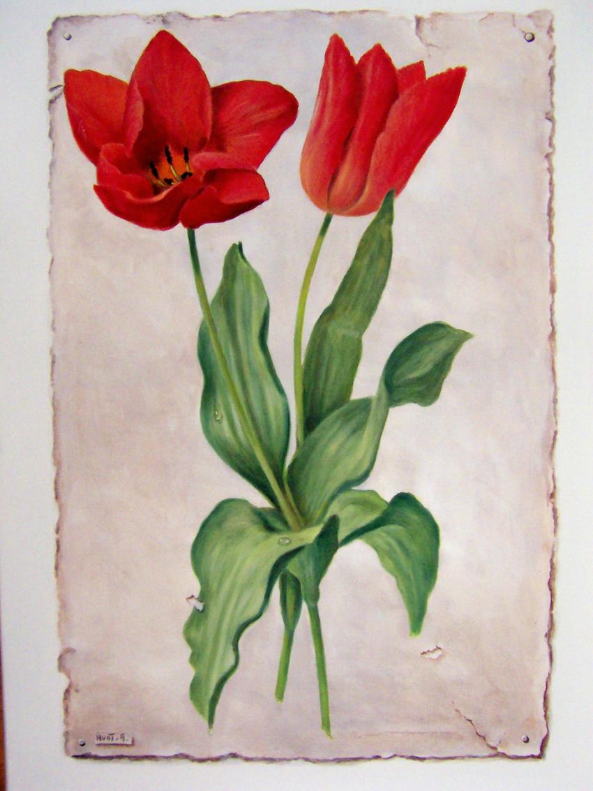 tulipes