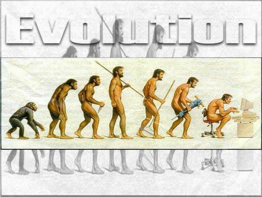 Evolution