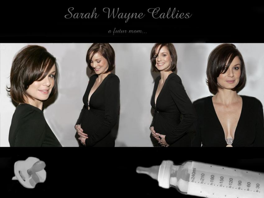 Sarah Wayne Callies