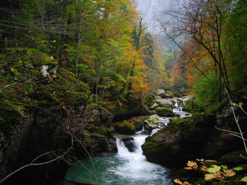 torrent en chartreuse