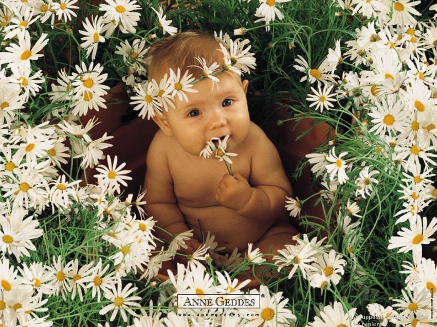 Anne Geddes