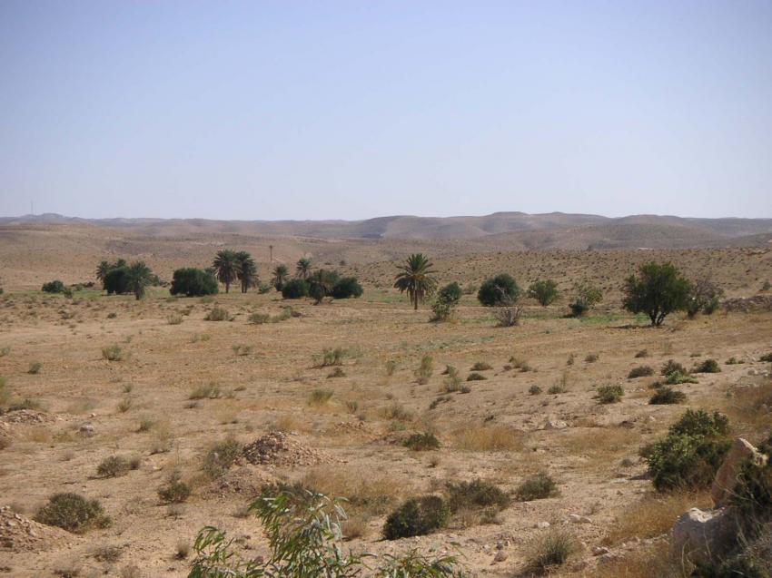 desert matmata