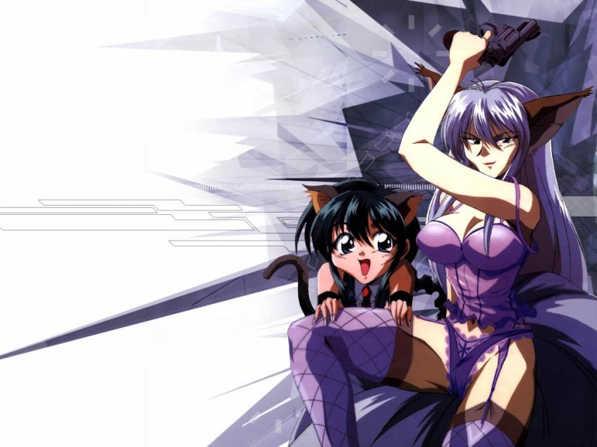 Hyper police