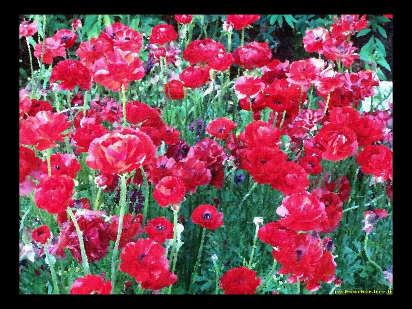 Massif rouge
