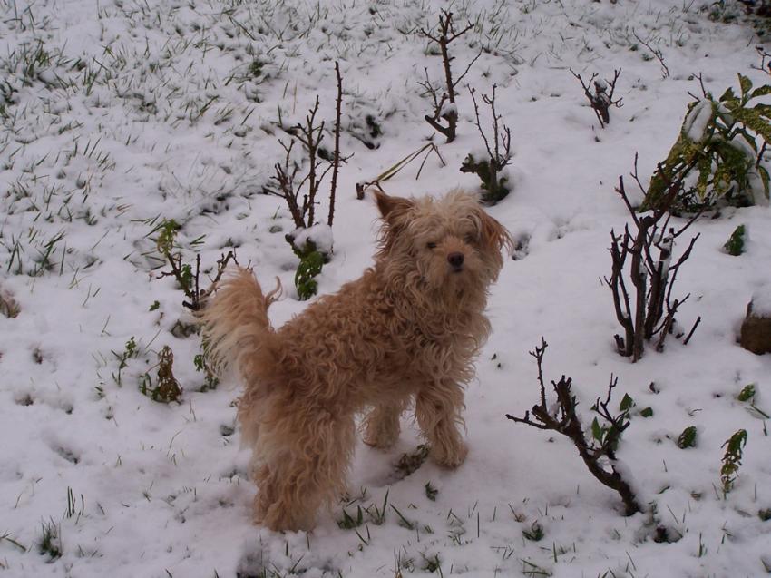 Speech dans la neige