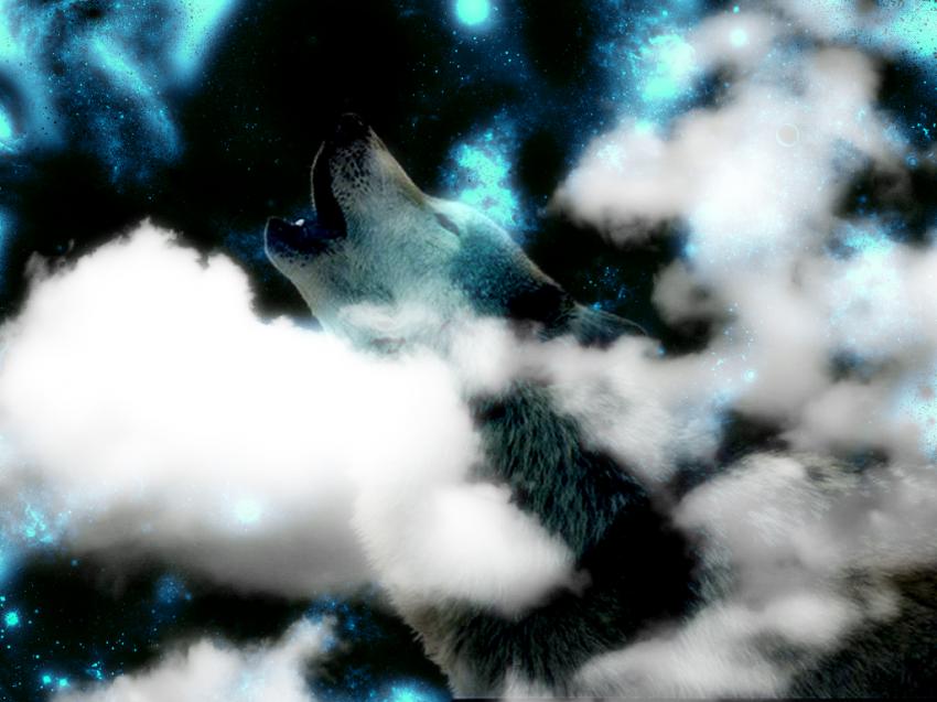 Loup et nuages