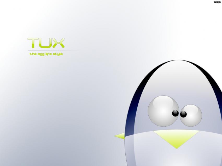 Tux egg