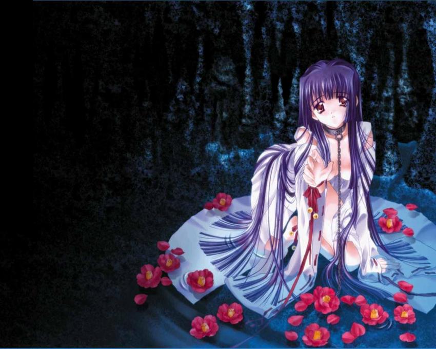 Moonlight Lady