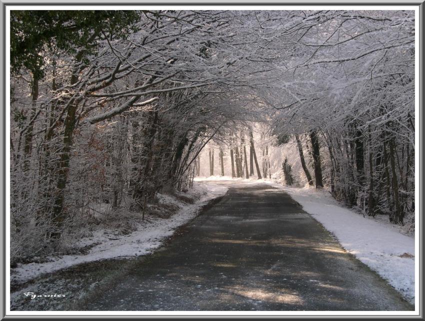 Jardin sous la neige.