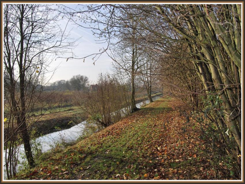 Chemin d'automne