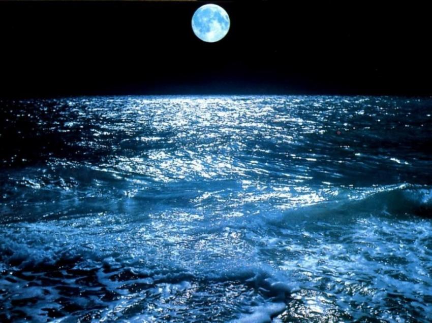 Ocean