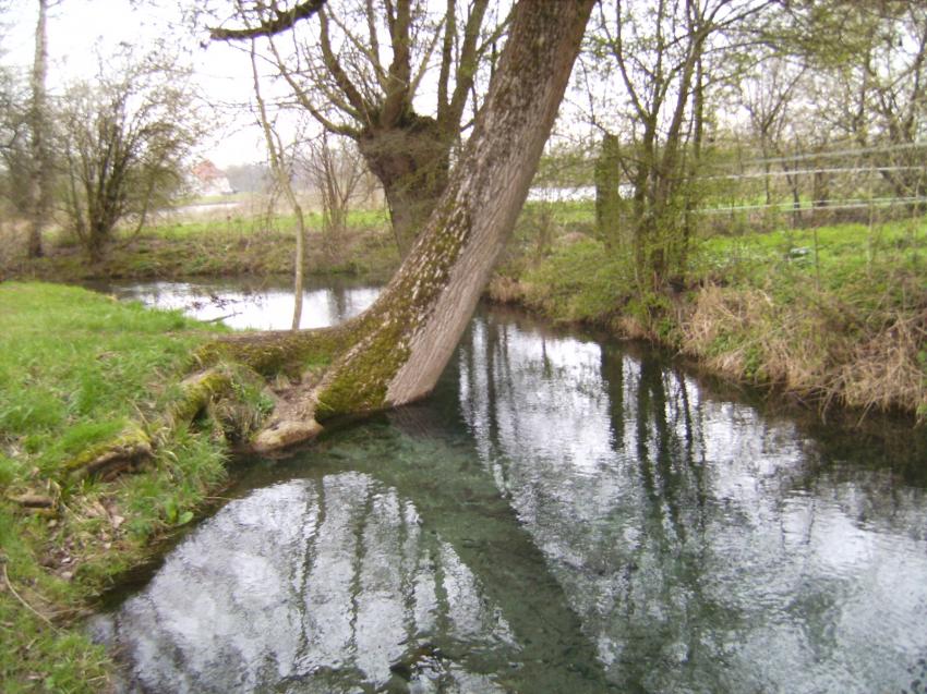 Sources de la Somme