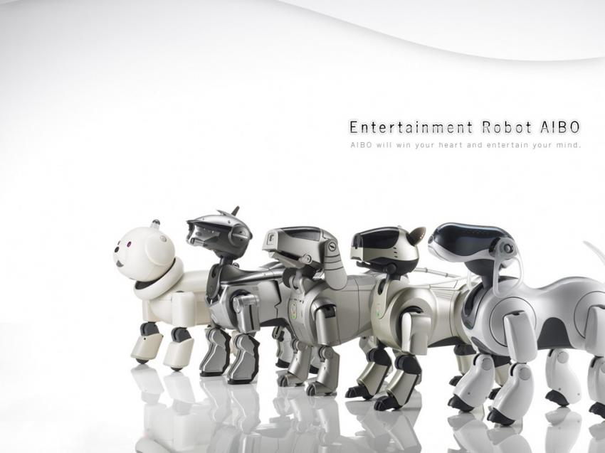 la famille du robot Aibo