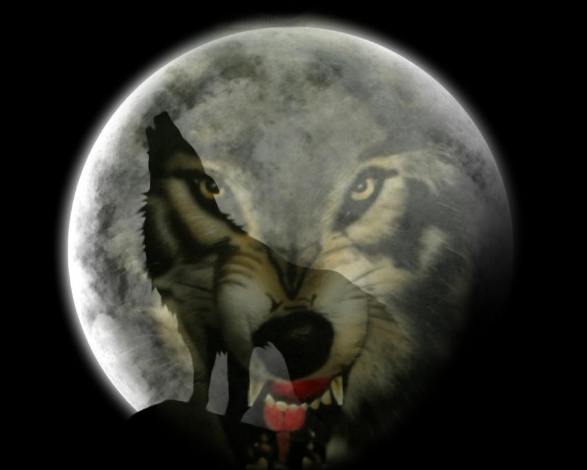 Loup/Lune