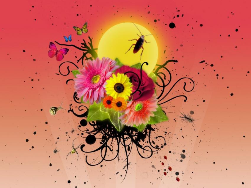 fleurs - insectes