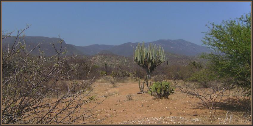 Paysage mexicain
