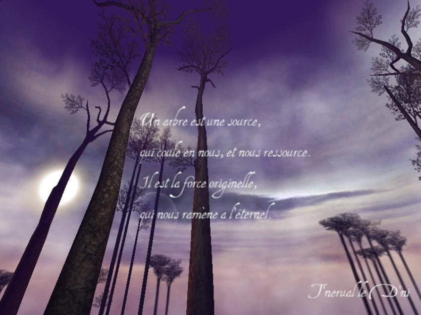 Un Arbre