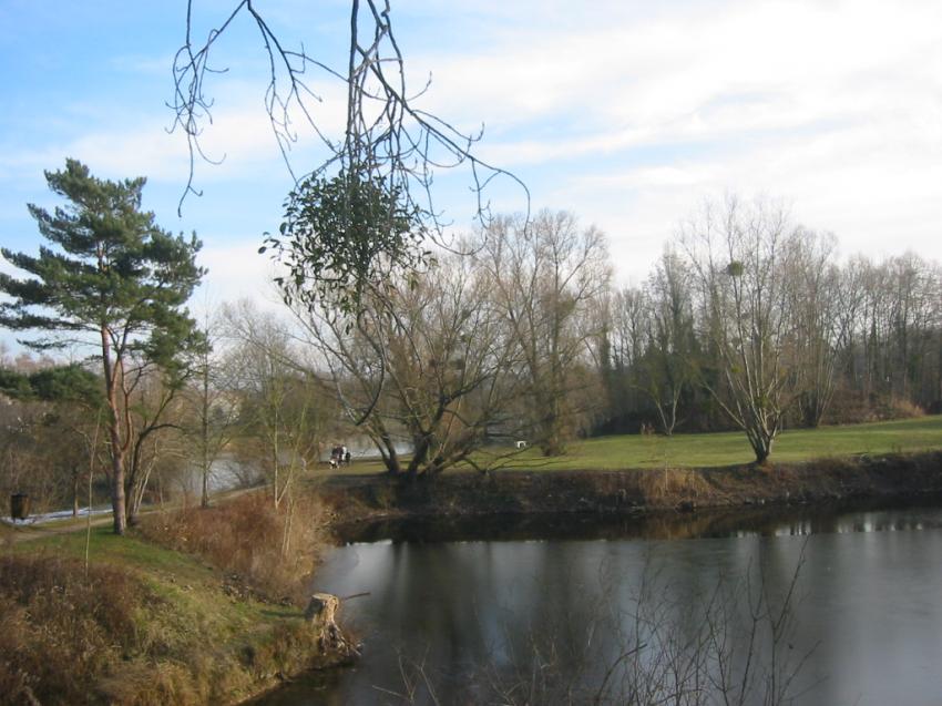 Hiver  l'Isle-Adam (95)
