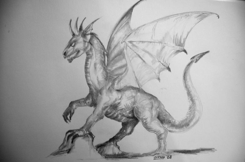 dragon