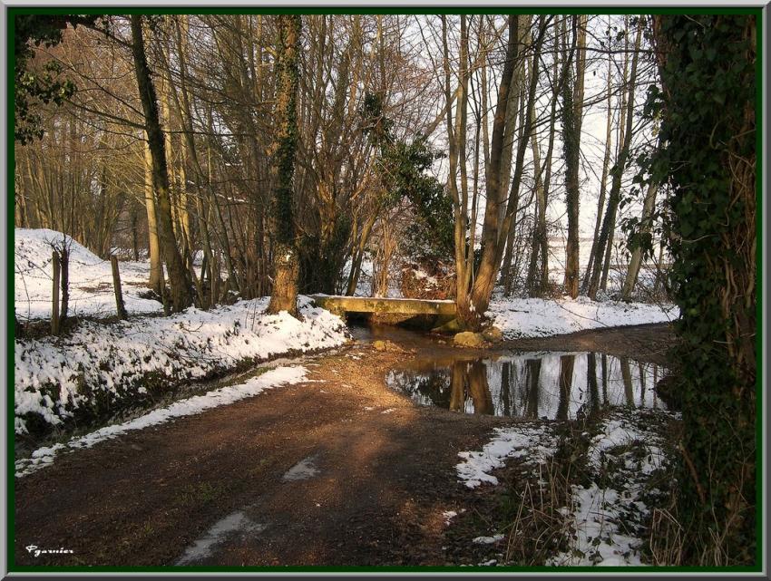 campagne sous la neige