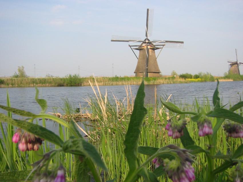Moulins  vent  Kinderdjik