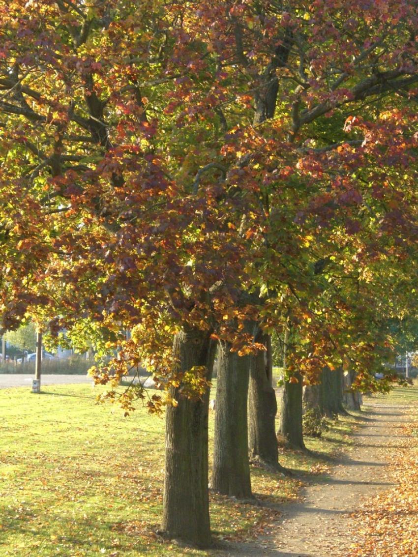 Belles couleurs