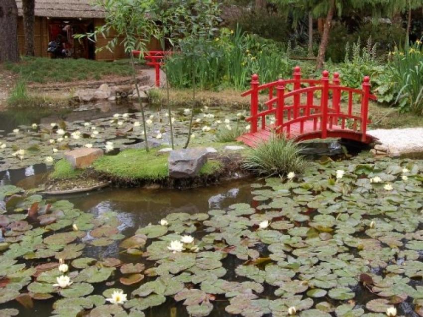 jardin japonais