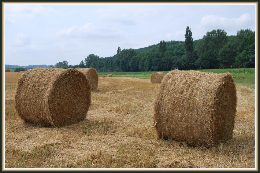 Les meules