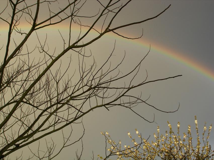 arc en ciel