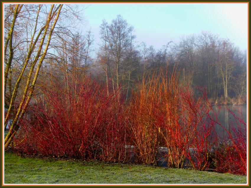 Marais d'Isle  Saint-Quentin (02)