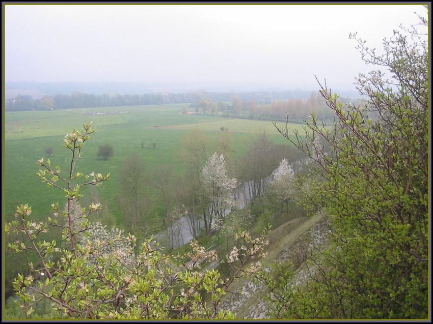 Brumes picardes