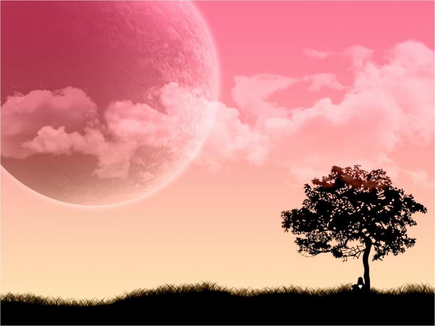 Paysage - arbre