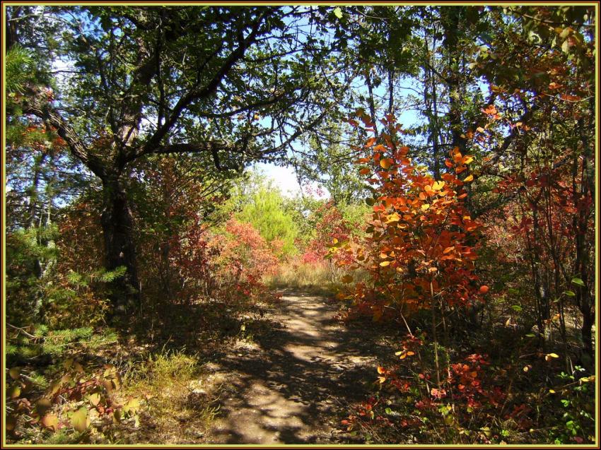 Automne en Provence