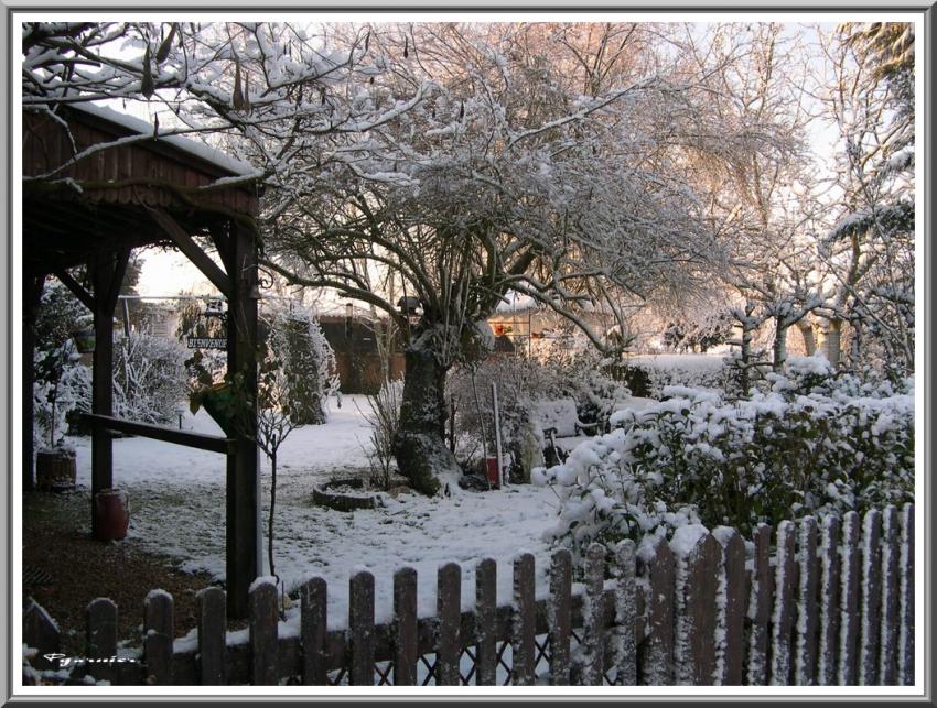 Jardin sous la neige.