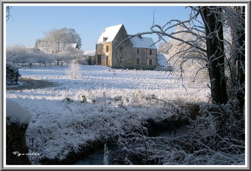 Jardin sous la neige.