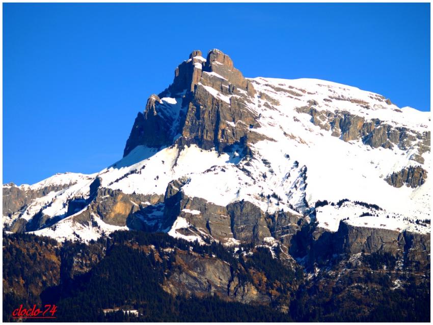 les aiguilles de warens